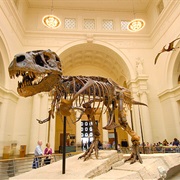 Go to 5 Different Museums