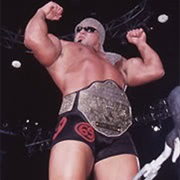 Scott Steiner