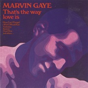 That's the Way Love Is - Marvin Gaye