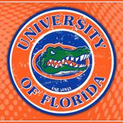 Ben Hill Griffin Stadium