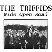 The Triffids, Wide Open Road