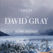 David Gray - Life in Slow Motion