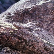 Pinnacles, California