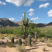 Sabino Canyon