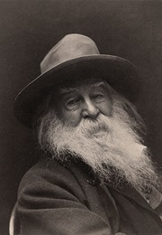 I Sing the Body Electric (Walt Whitman)