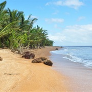 Shell Beach, Guyana