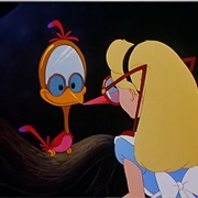 Mirror and Glasses Birds