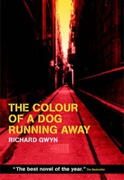 The Colour of a Dog Running Away (Richard Gwyn)