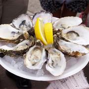 Whitstable Oysters