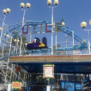 Jubilé - Selva Magica