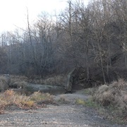 Farm Creek Section