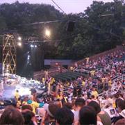 New York Shakespeare Festival