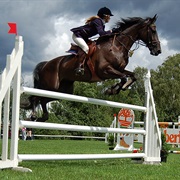 Show Jumping