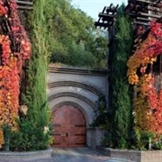 Rutherford Winery Napa, Ca