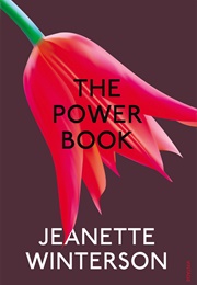 The Power Book (Jeannette Winterson)
