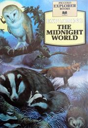 Piccolo Explorer Books