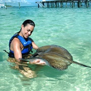 Swam With Stingrays