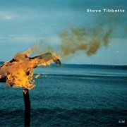 Steve Tibbetts - A Man About a Horse