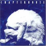 Chapterhouse- Whirlpool