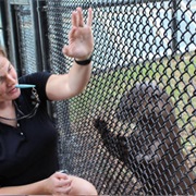 Otter Experience at Moody Gardens