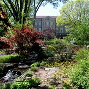 Cheekwood Botanical Garden & Museum of Art