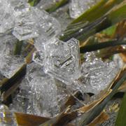 Depth Hoar Frost (Hoar Cups)