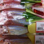 Threadfin Bream