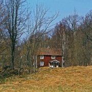 Dals-Ed Municipality