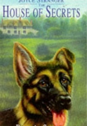 Bran's Secret (Joyce Stranger)