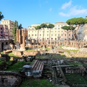 Argentina Cat Sanctuary, Rome
