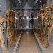 El Museo De Las Momias