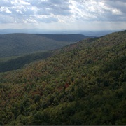 George Washington National Forest