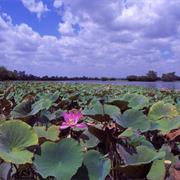 Mary River National Park (NT)