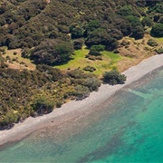 Waikaha Stream Campground