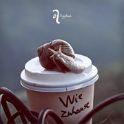 Wie Zuhause - Alligatoah