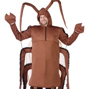 Giant Brown Cockroach