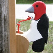 Woodpecker Door Knocker
