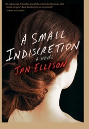 A Small Indiscretion (Jan Ellison)