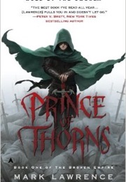 A Book About an Anti Hero (Prince of Thornes)