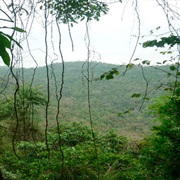 Birdwatch in Cerro Blanco