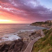 Walk the Bondi to Coogee