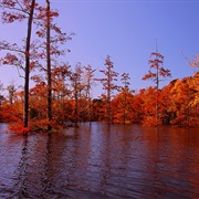 Upper Ouachita National Wildlife Refuge
