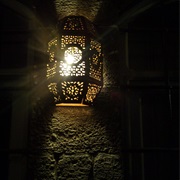 Perform Witr Prayers