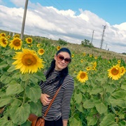 Moldova - Dealul Bălănești