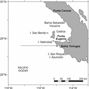 Sebastián Vizcaíno Bay