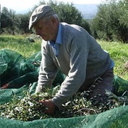 Mediterranean Cuisine