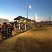 Lincoln County WA Fair (Davenport)