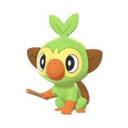 Grookey