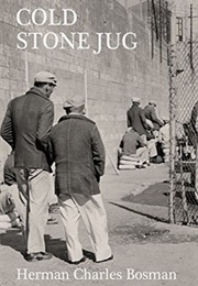 Cold Stone Jug (Herman Charles Bosman)