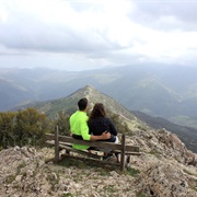 Start a New Tradition Together